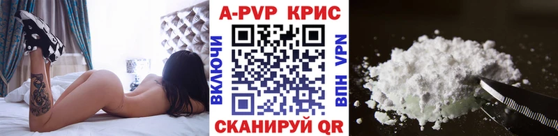 A PVP СК  Зерноград 
