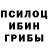 Галлюциногенные грибы MAGIC MUSHROOMS Andrew Felice