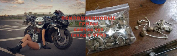 стафф Армянск