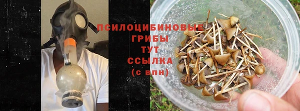 стафф Армянск