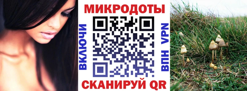 KRAKEN ссылки  купить  цена  Зерноград  Псилоцибиновые грибы MAGIC MUSHROOMS 