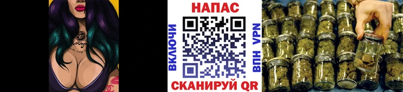 Каннабис OG Kush  Зерноград 